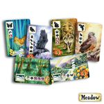 5949283 Meadow (Edizione Italiana)