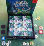 5944167 Wald der Lichter