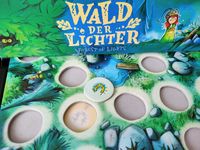 6064477 Wald der Lichter