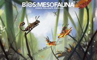 5647482 Bios:Mesofauna