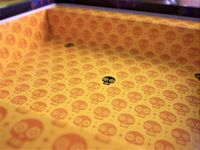 7128491 Fiesta Mexicana