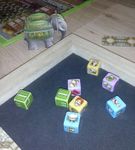 5984365 Rajas of the Ganges: The Dice Charmers