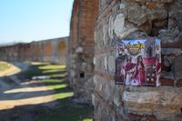 6037713 Magna Roma Deluxe