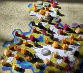 6747282 Fjords (Edizione Inglese)