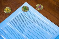 6866379 Fjords (Edizione Inglese)