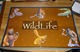 110004 WildLife