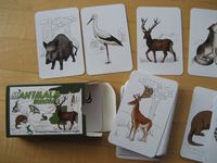 263887 Manimals: Europa 1