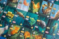 6429890 Living Forest