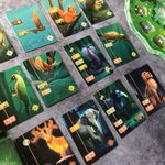 6628455 Living Forest