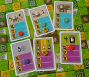 6276136 Llamaland