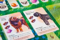 6387411 Dog Park - Kickstarter Limited Edition