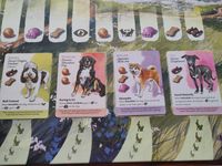 7061612 Dog Park - Kickstarter Limited Edition