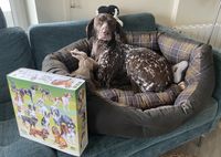 7077157 Dog Park - Kickstarter Limited Edition