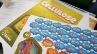 6465181 Cellulose: A Plant Cell Biology Game