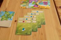 6789479 Cellulose: A Plant Cell Biology Game