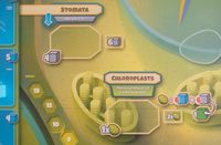 6789488 Cellulose: A Plant Cell Biology Game