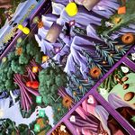 7322942 Violet and the Grumpy Nisse