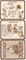 672266 Munchkin 6: Demented Dungeons