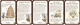 892383 Munchkin 6: Demented Dungeons