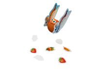 6152025 Speedy Roll &amp; Friends