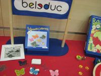 5378202 Schmetti Coloretti