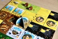 6517844 Kingdomino Origins