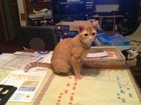 1936667 This Accursed Civil War