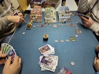 7222829 Raccoon Robbers