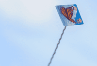 6959355 Kites (EDIZIONE INGLESE)