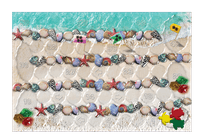 6434492 ECO: Coral Reef