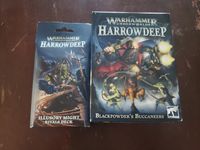 6663411 Warhammer Underworlds: Harrowdeep