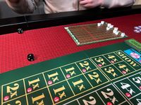 6674750 Ready Set Bet
