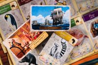 6537252 Encyclopedia