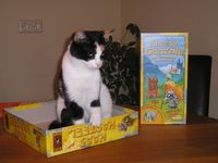 583387 Cheesy Gonzola