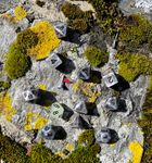 6599444 Dice &amp; Towers