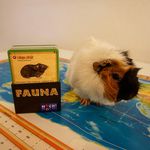 3539782 Fauna (EDIZIONE TEDESCA)