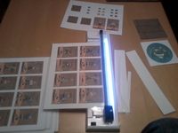 1643026 Walk the Plank