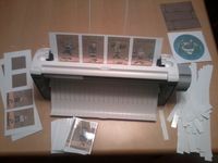 1643028 Walk the Plank