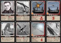 2238706 Down In Flames: Aces High