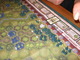 471562 Memoir '44: Hedgerow Hell