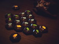 4423297 Logan Stones