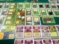 1582873 Agricola: Attraverso le Stagioni