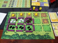 574312 Agricola: Attraverso le Stagioni