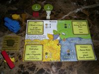 644765 Agricola: Attraverso le Stagioni