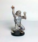 1090216 Runebound: The Frozen Wastes