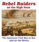 380781 Rebel Raiders on the High Seas