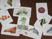 390134 Manimals: Ozeane, Küsten &amp; Pole 1