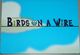 488441 Birds on a Wire