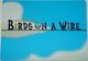 631916 Birds on a Wire