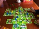 1135655 The Kids of Carcassonne